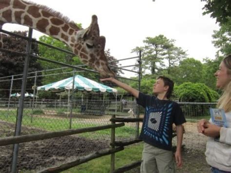 traveling petting zoo long island.